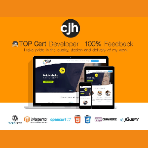 Build-you-a-responsive-WordPress-website-that-is-search-engine-optimised.gif